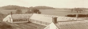 Det gamla orangeriet vid Löfstad slott, från förra sekelskiftet